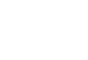 BDO Alliance Logo White, Business growth